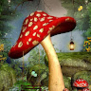 Meet your Posher, Brynn